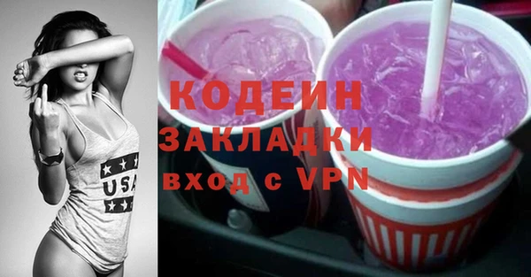 прущие грибы Гусиноозёрск