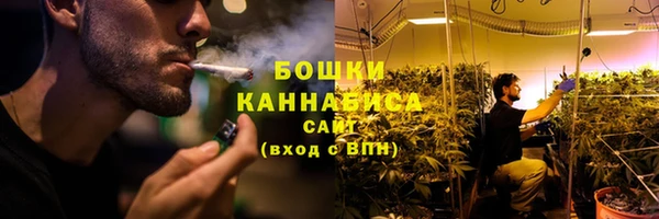 прущая мука Гусев