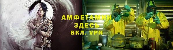 прущие грибы Гусиноозёрск