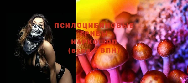 прущие грибы Гусиноозёрск