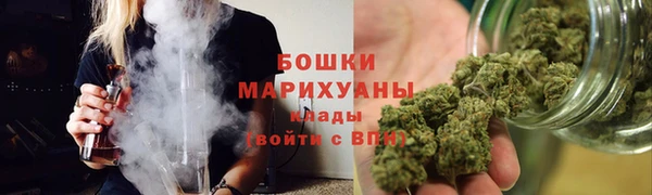 прущие грибы Гусиноозёрск