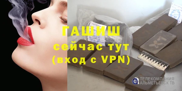 прущие грибы Гусиноозёрск