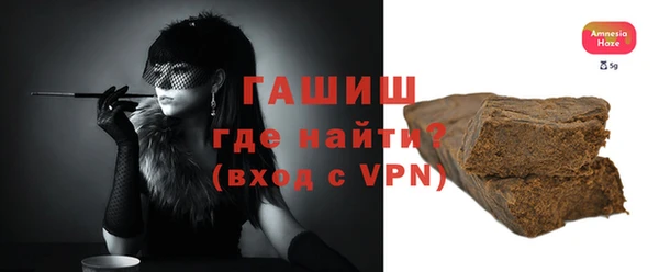 прущие грибы Гусиноозёрск