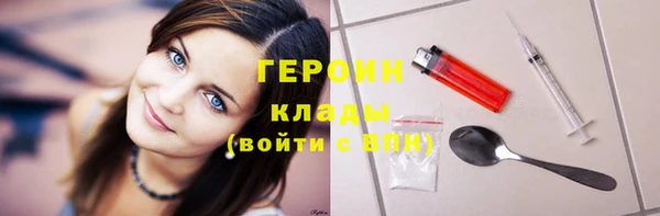 прущие грибы Гусиноозёрск