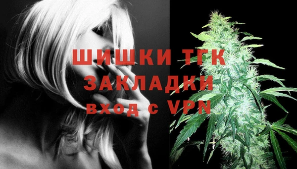 прущие грибы Гусиноозёрск