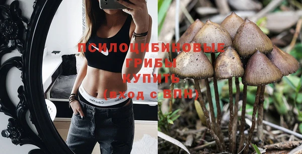 прущая мука Гусев