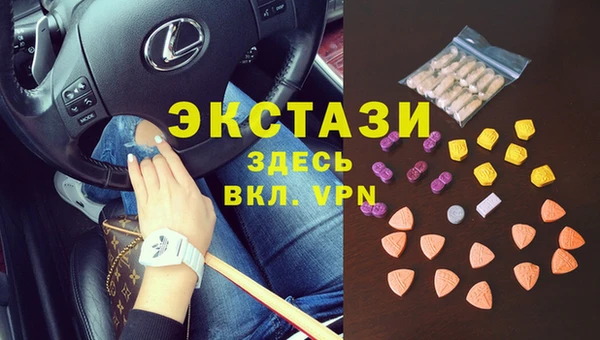прущие грибы Гусиноозёрск