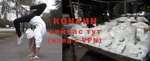 прущие грибы Гусиноозёрск