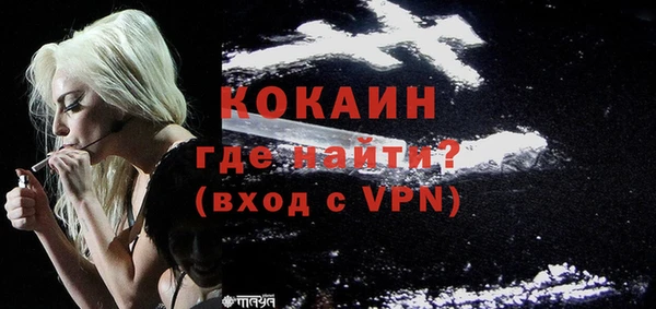 прущие грибы Гусиноозёрск