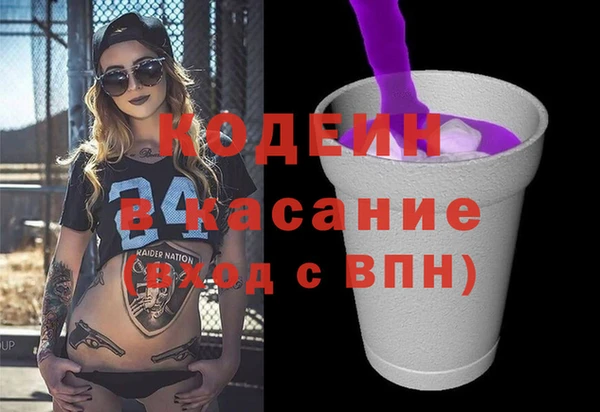 прущие грибы Гусиноозёрск