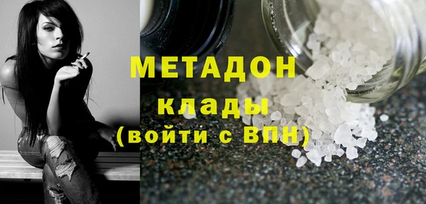 прущие грибы Гусиноозёрск