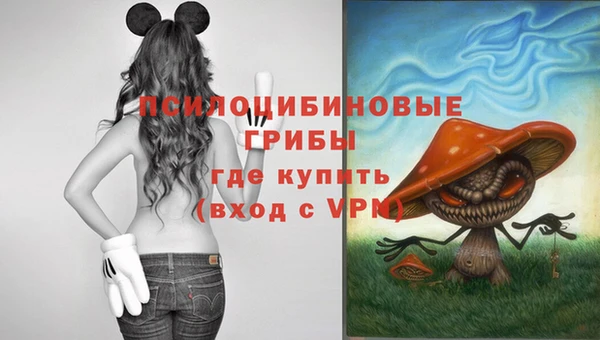 прущая мука Гусев